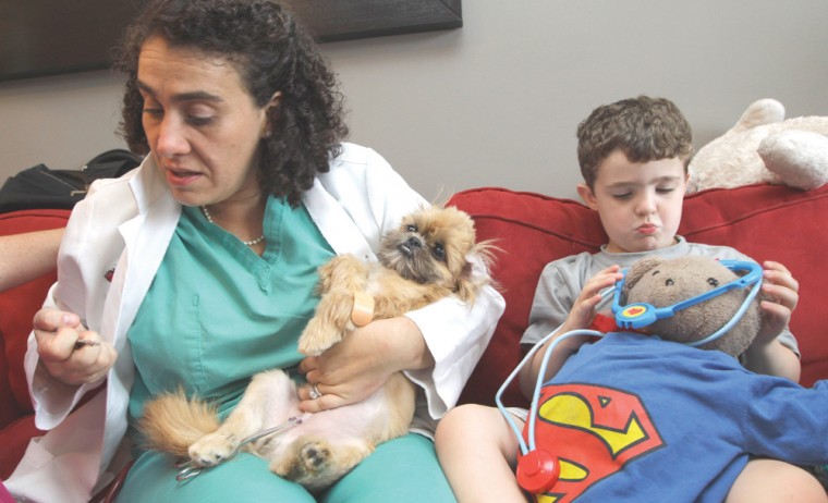 Veterinarians making house calls
